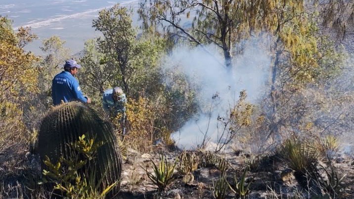 El Altiplano concentra más de la mitad de daños por incendios forestales en SLP