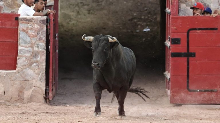 CANTAURO INICIARÁ LA PROMOCIÓN OFICIAL DE LA CORRIDA DE FERIA EN CEDRAL