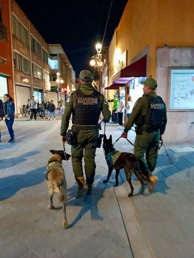 ESTRATEGIA INTEGRAL DE SEGURIDAD DISMINUYE EL DELITO EN TODO EL ESTADO