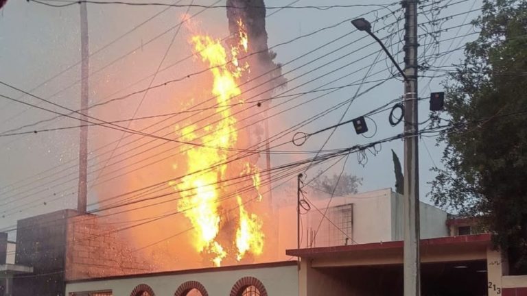 PINO SE INCENDIA ENTRE CABLES DE ALTA TENSIÓN