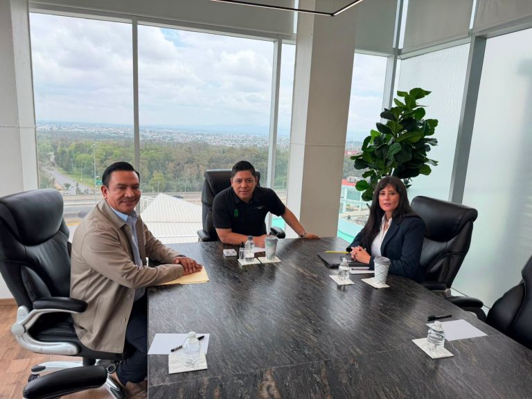 ORDEN Y PAZ SOCIAL AVANZAN CON TRABAJO COORDINADO: RICARDO GALLARDO
