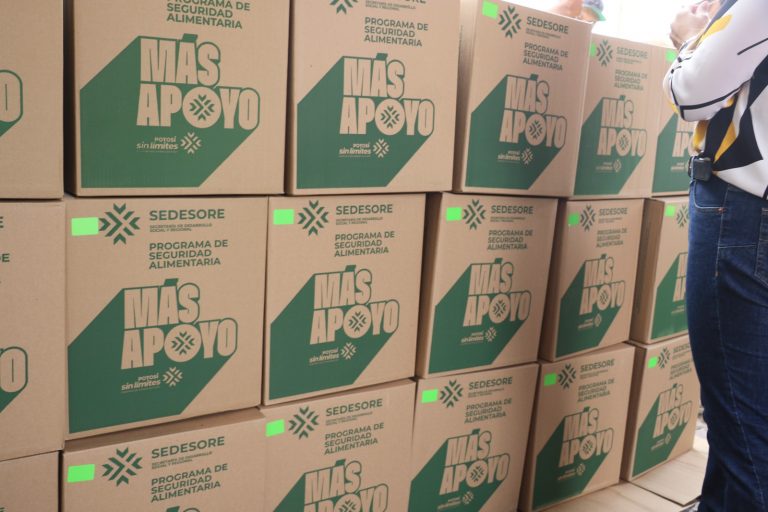 APOYOS ALIMENTARIOS LLEGAN DIRECTAMENTE A FAMILIAS DE CUATRO REGIONES