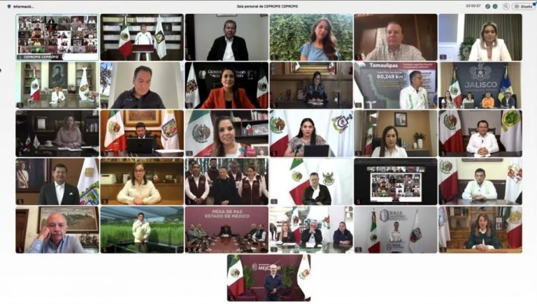 SAN LUIS POTOSÍ PARTICIPARÁ EN LA JORNADA NACIONAL DE REFORESTACIÓN