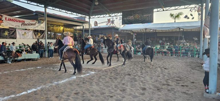 FENAPO REÚNE A LOS MEJORES CABALLOS BAILADORES DE MÉXICO