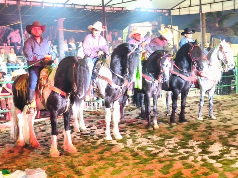 SAN LUIS POTOSÍ LOGRA DOS TRIUNFOS EN CAMPEONATO NACIONAL DE CABALLOS BAILADORES