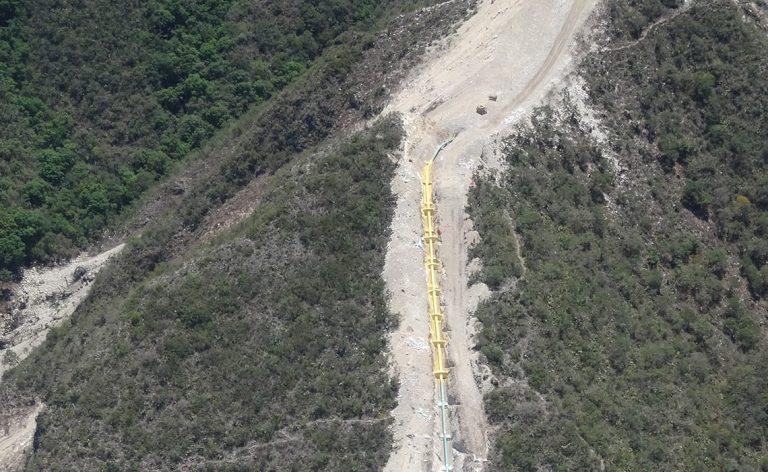 DEPENDENCIAS SUMAN ACCIONES PARA RESTAURAR ÁREA FORESTAL EN VILLA DE REYES